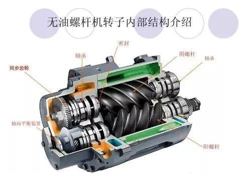 <a href=http://m.xstgy.com/tag-etagid89-0.html target=_blank class=infotextkey>無油螺桿機</a>轉子介紹-搜圖云